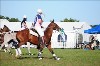 UKPA NC SAT_2126